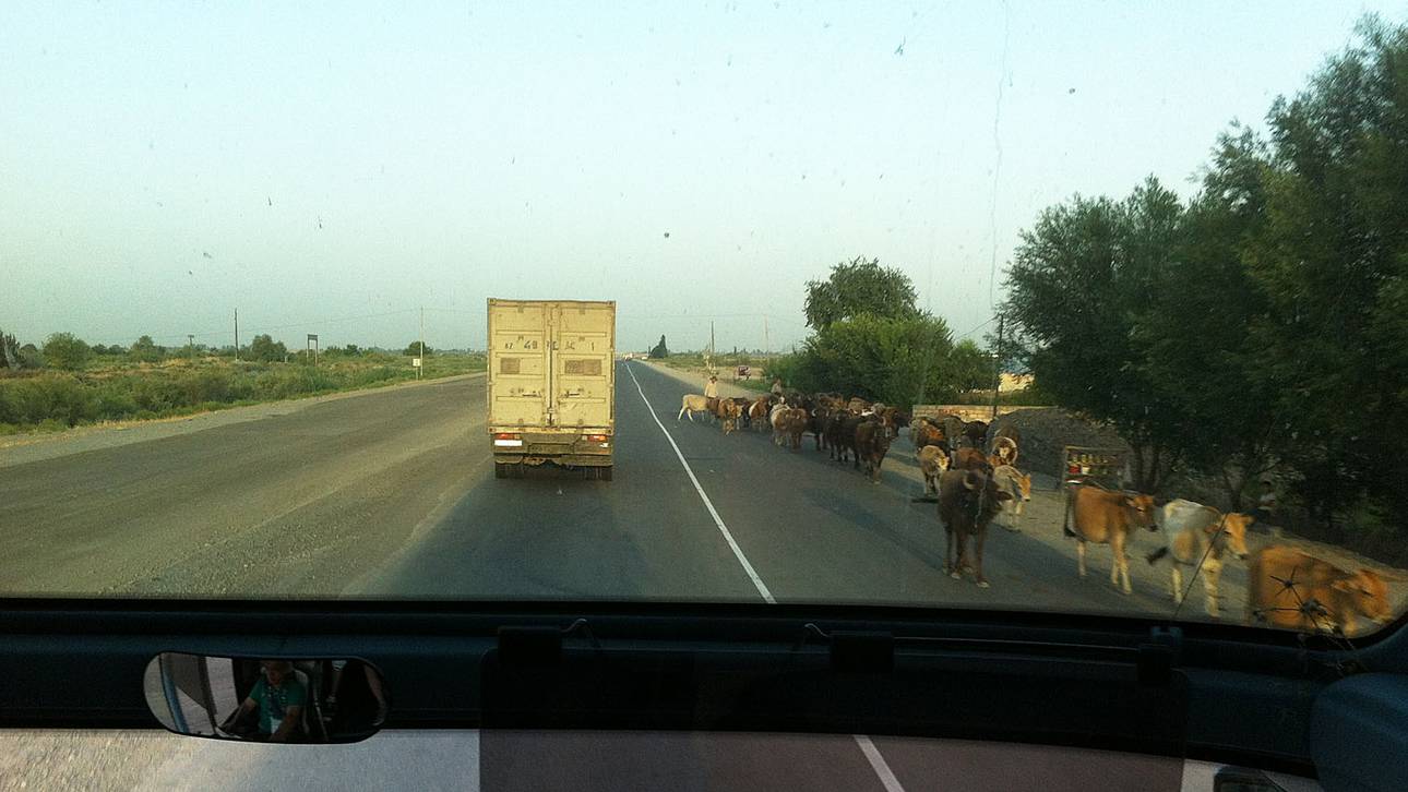 Durchs wilde Aserbaidschan