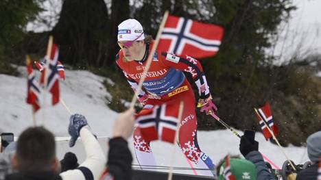 Image 1: Johannes Hösflot Kläbo wins gold in Trondheim