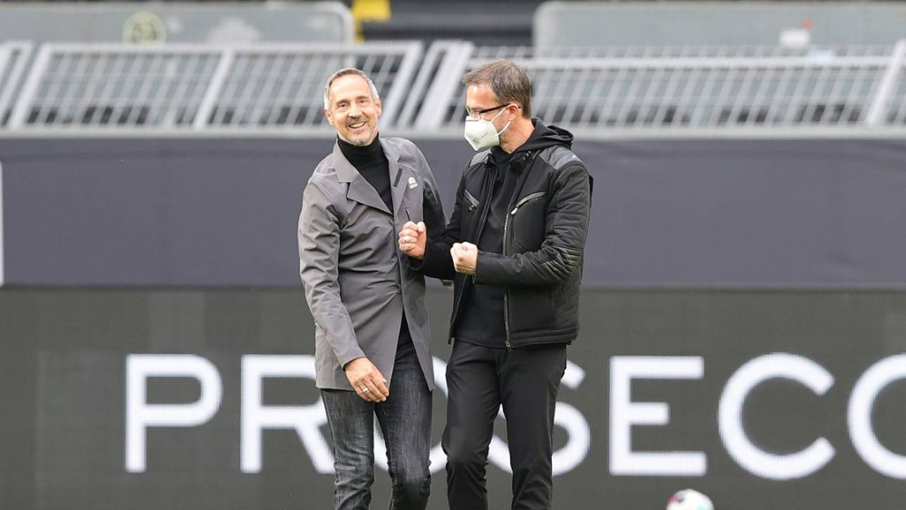 Hellmann lobt Hütter und Bobic