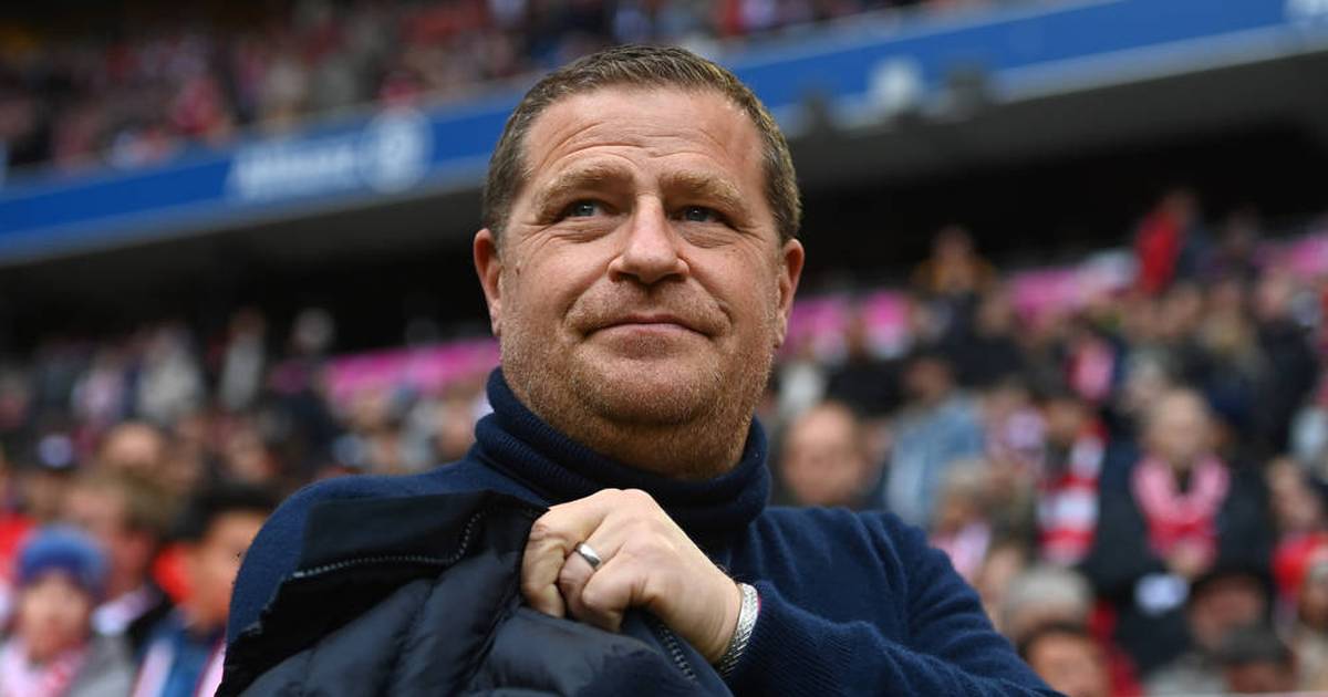 FC Bayern: Max Eberl reagiert auf Geraune um Michael Olise