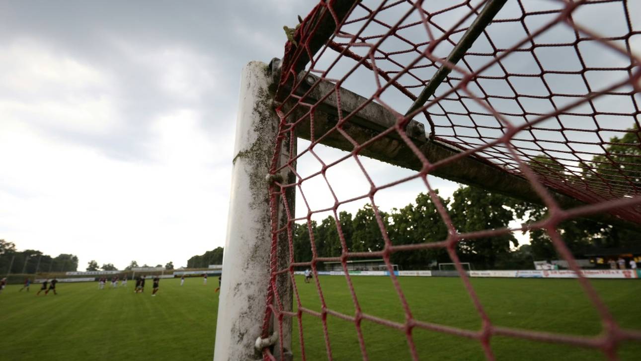 Hahn teilt gegen Merkel aus