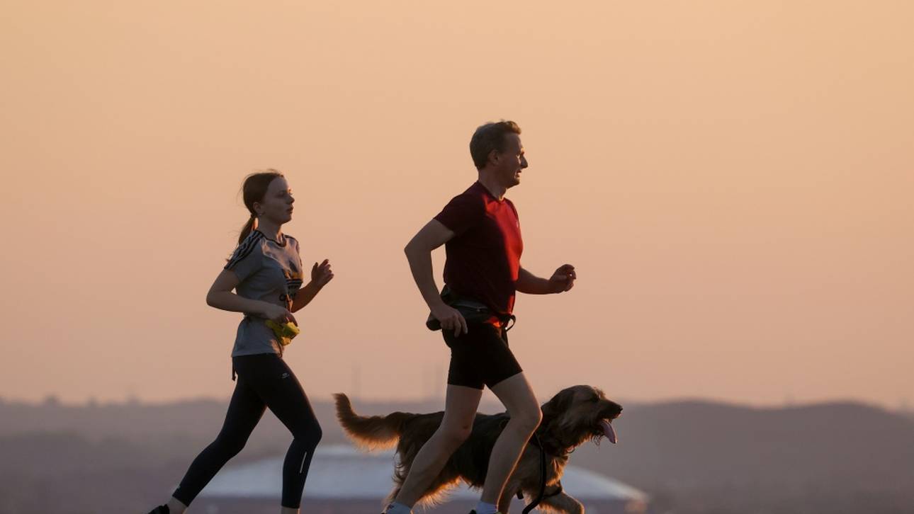 Lockdown setzt Vereinen heftig zu