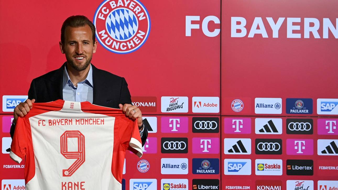 Krass! Berater-Honorare explodieren