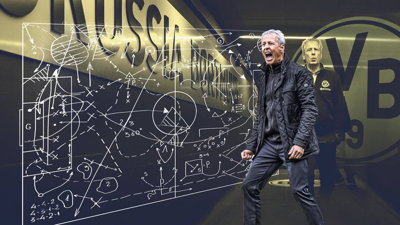 Schwachstellen des Favre-Systems