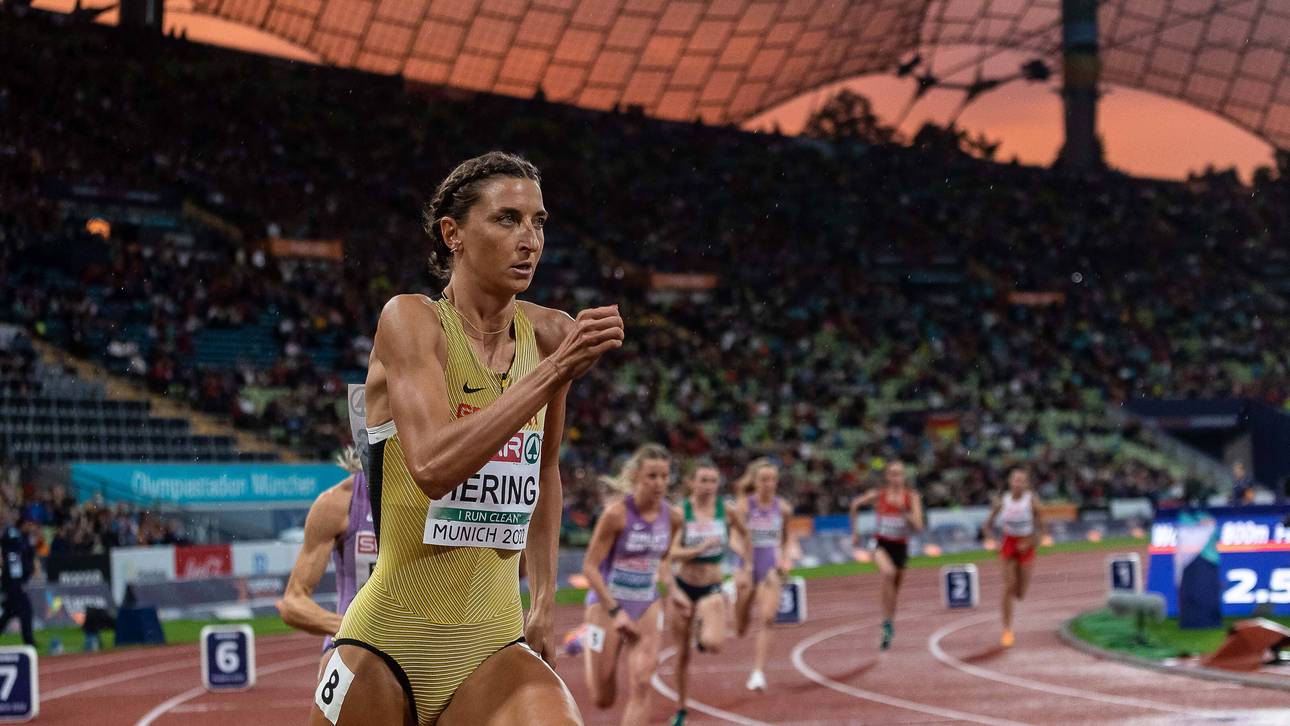 Mutige Hering wird nicht belohnt