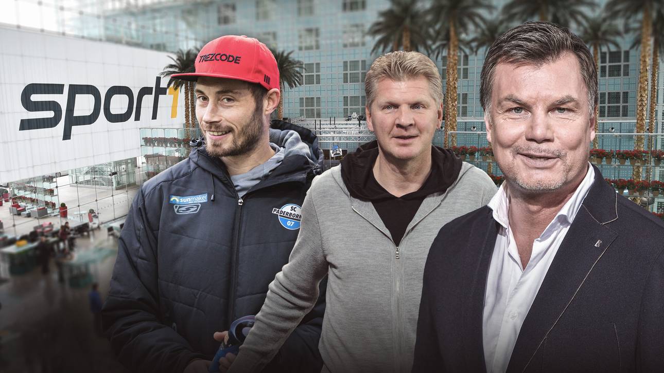 CHECK24 Doppelpass mit Strohdiek