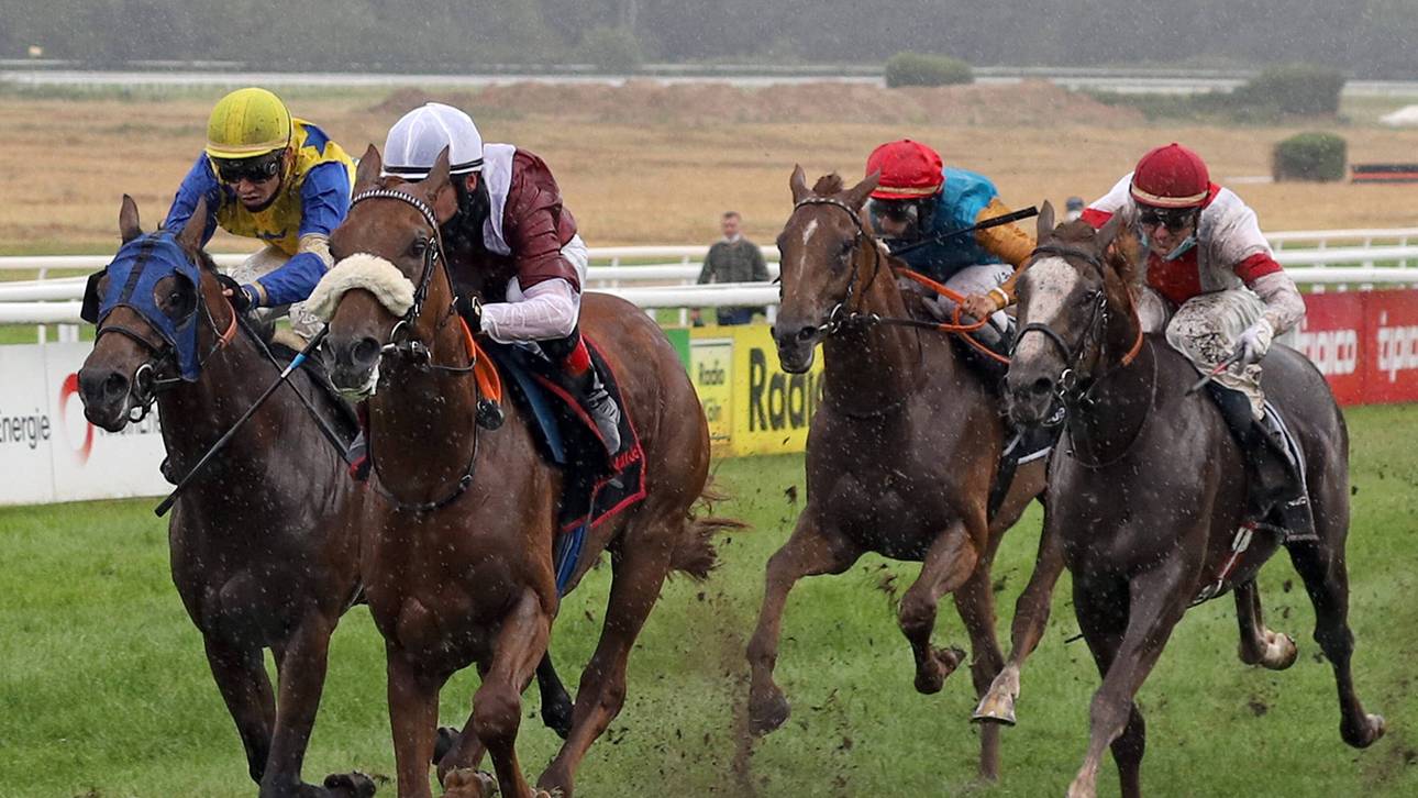 Wonderful Moon (2.v.l.) gilt als Favorit beim Deutschen Derby