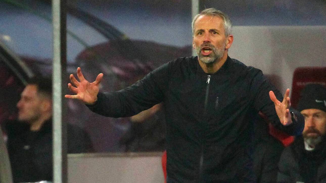 Ein denkwürdiges Rose-Interview