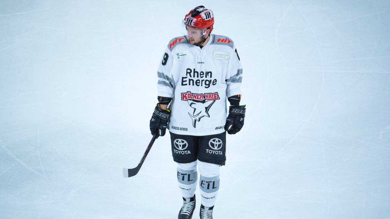 Haie in München unter Zugzwang