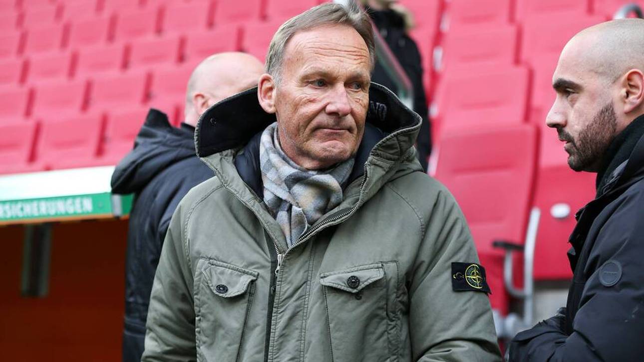 „Einsturz“? Watzke spaltet Fans