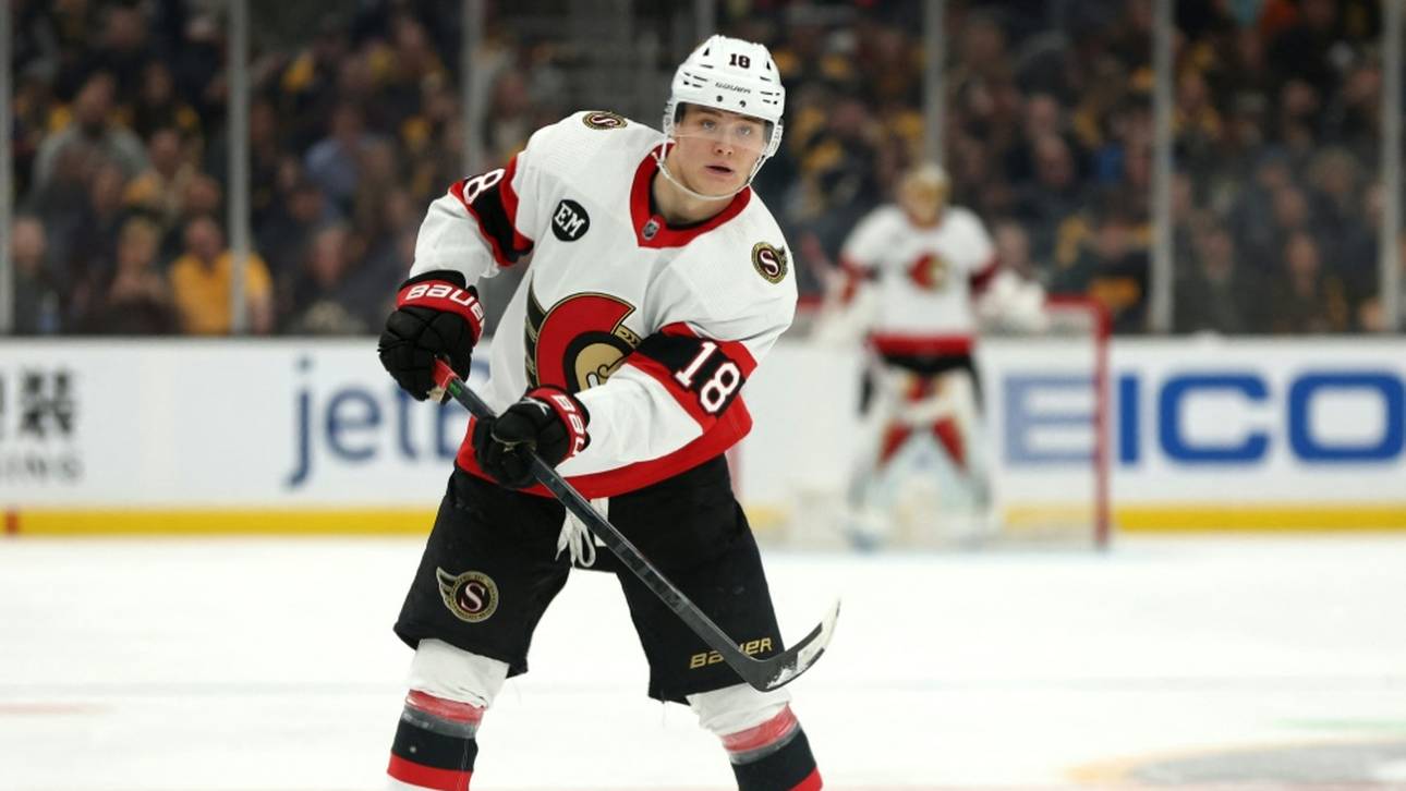 NHL-Team soll verkauft werden