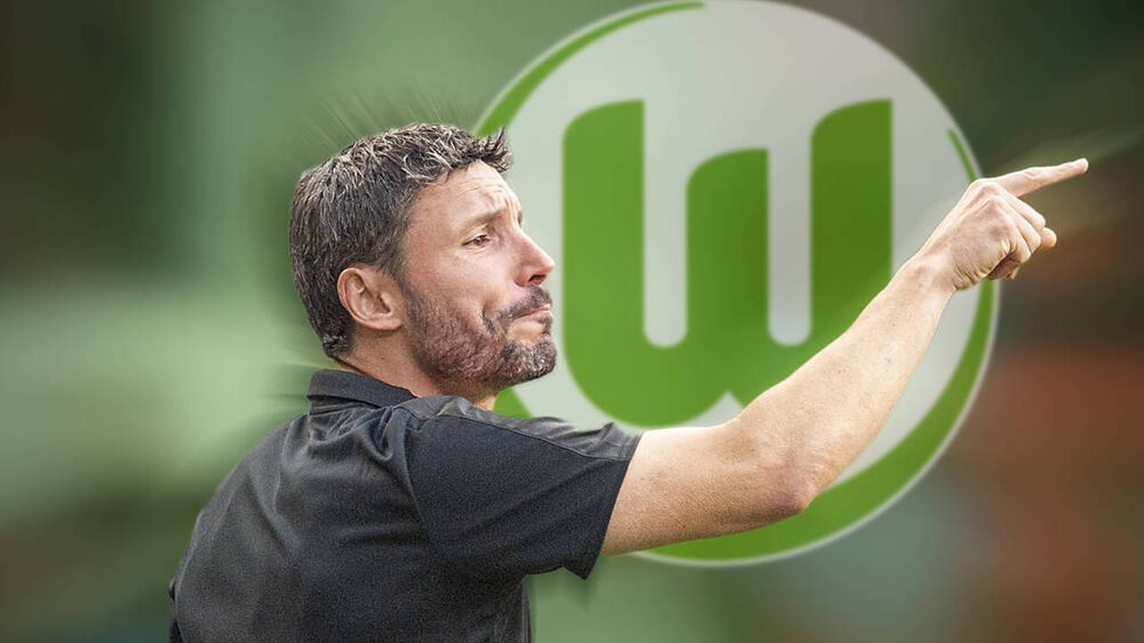 VfL Wolfsburg: Mark van Bommel neuer Trainer