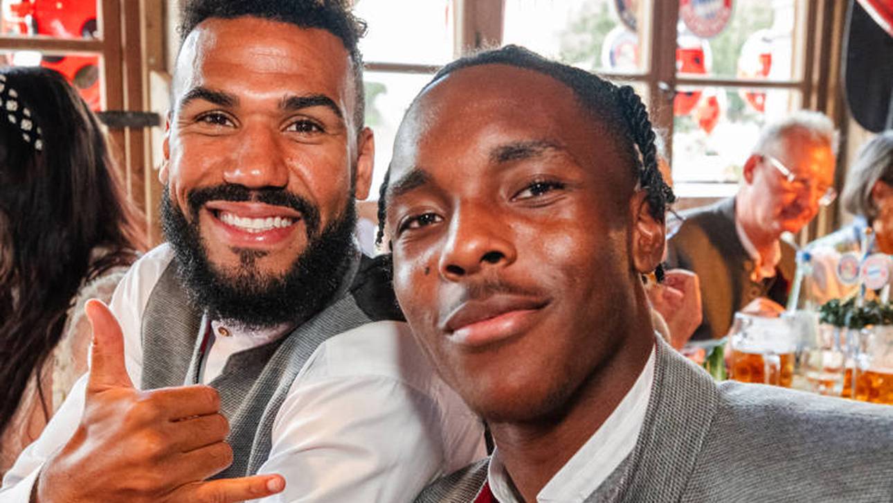 „Tel wird 100 Millionen einspielen“