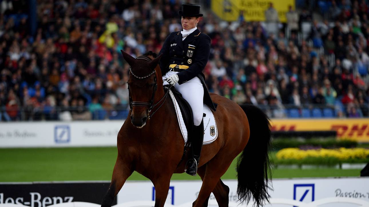 CHIO: Schneider und Werth starten gut