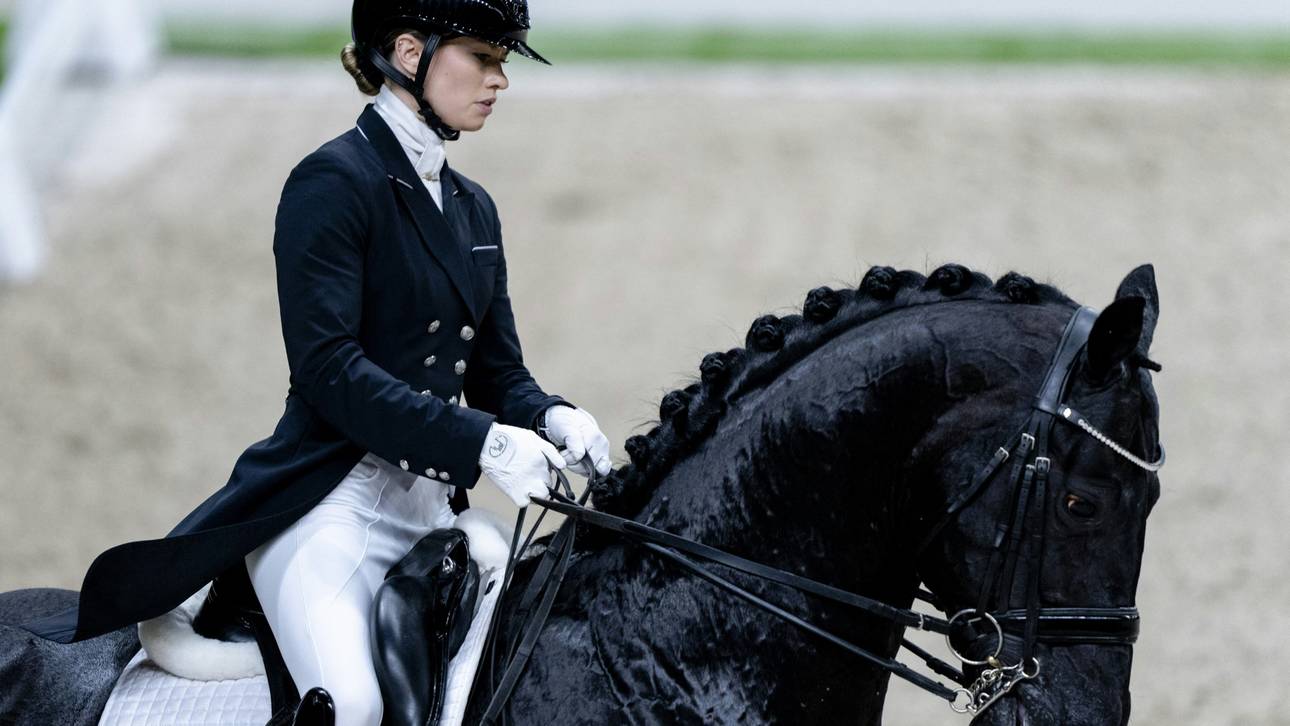 Direkter Vergleich mit Dalera: Glamourdale zur Dressur-EM
