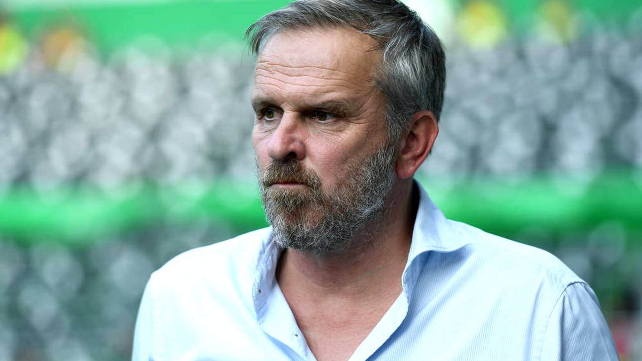 Nächste Trainer-These von Hamann