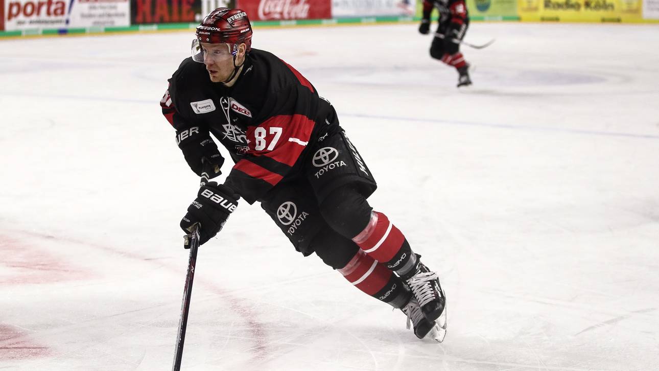 Haie sortieren Urgestein aus