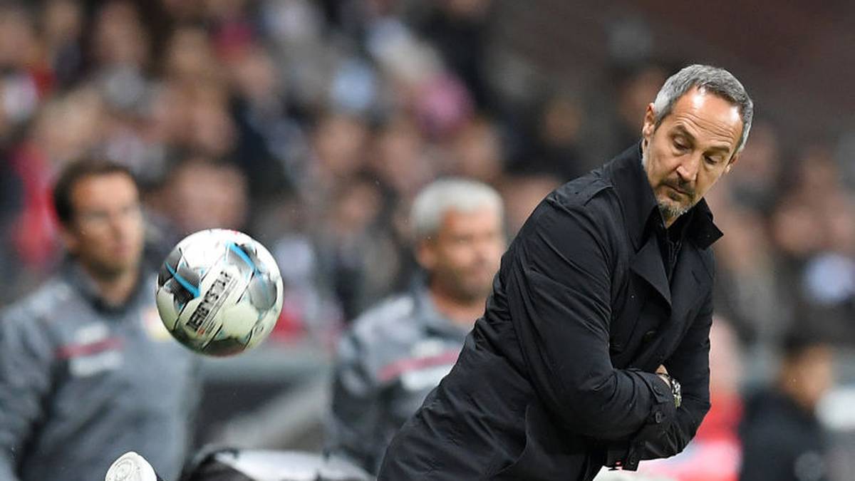 ADI HÜTTER (EINTRACHT FRANKFURT, Vertrag bis 2021): Obwohl ihm zu Beginn der Saison sein kompletter Erfolgssturm (Jovic, Haller, Rebic) weggebrochen ist, ist er mit der Eintracht wieder auf Kurs zu den internationalen Plätzen. Da erübrigt sich jede Trainerdebatte