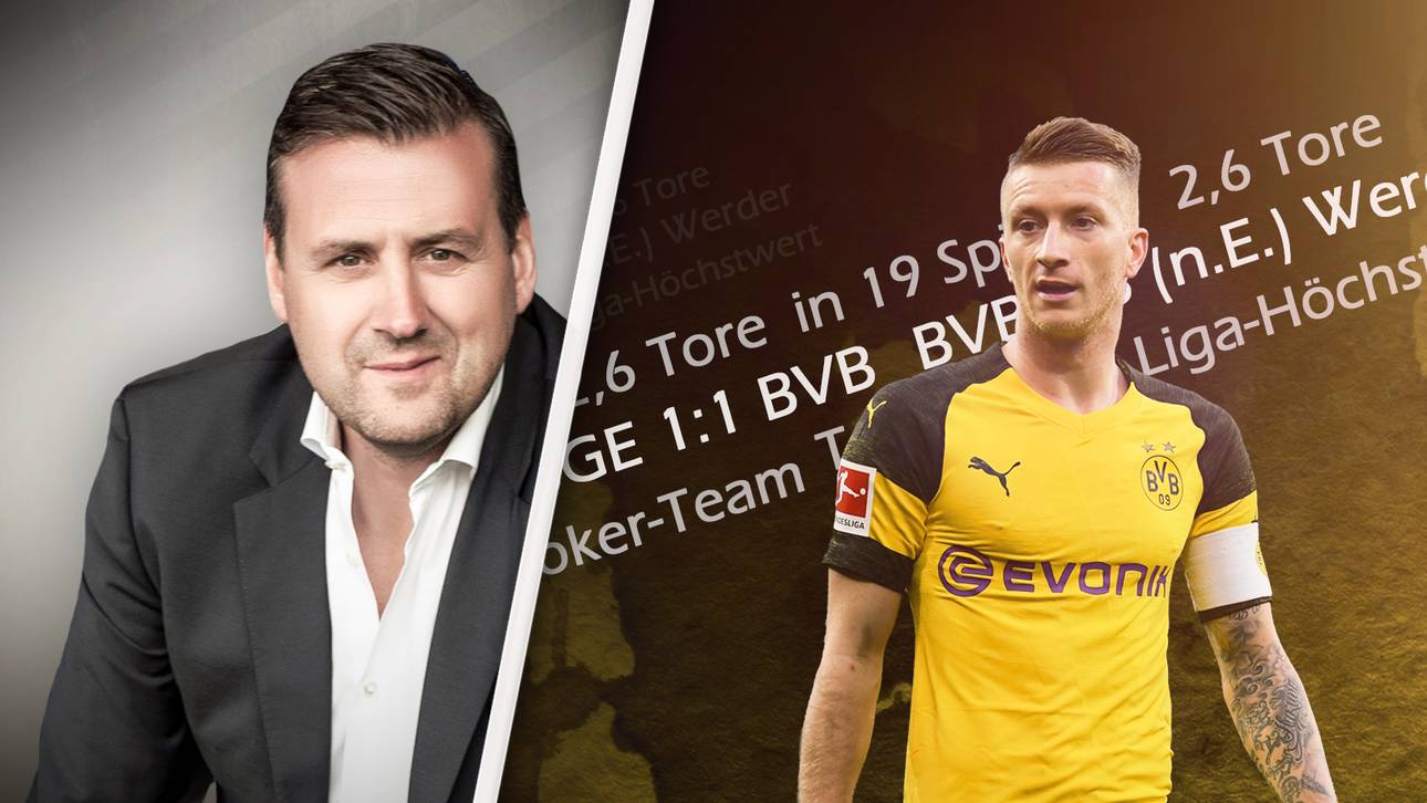 Die Wahrheit zum BVB – in Zahlen