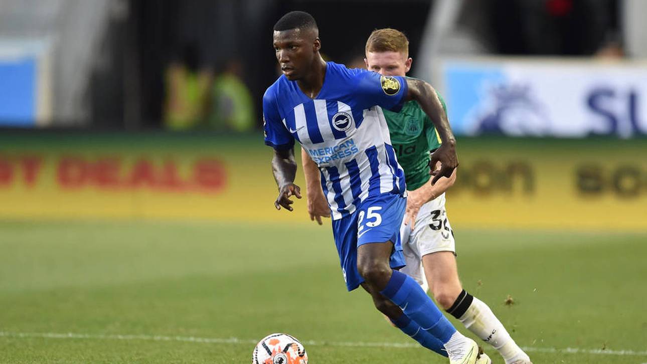 Moisés Caicedo wagt den nächsten Schritt in der Premier League