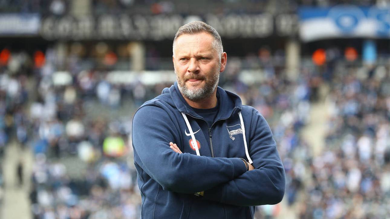 Dardai? Entscheidung scheint gefallen!