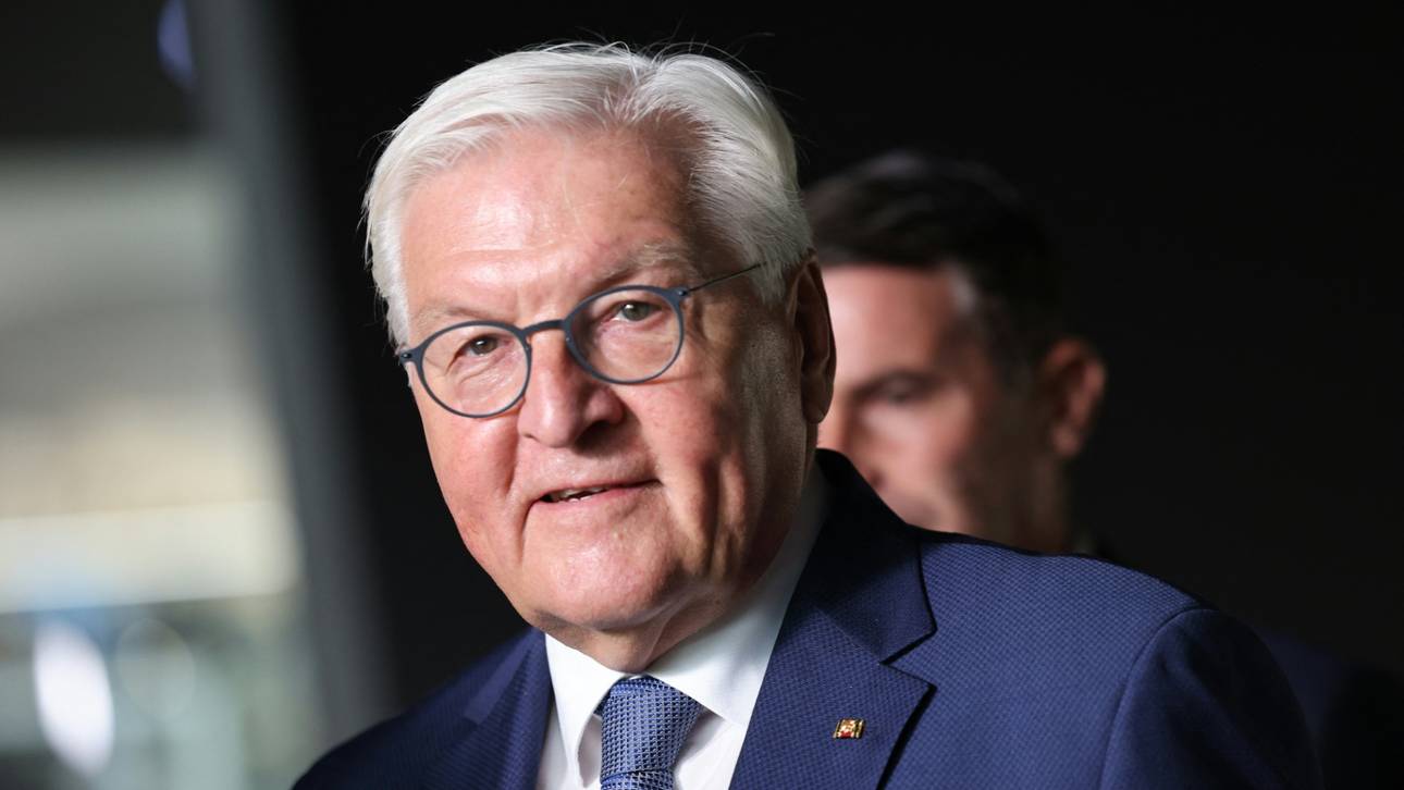 Steinmeier reist zum EM-Finale