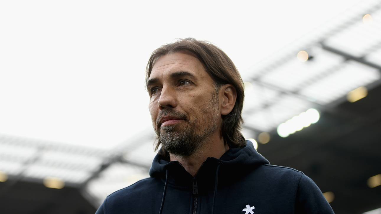 Heidel plant langfristig mit Schmidt