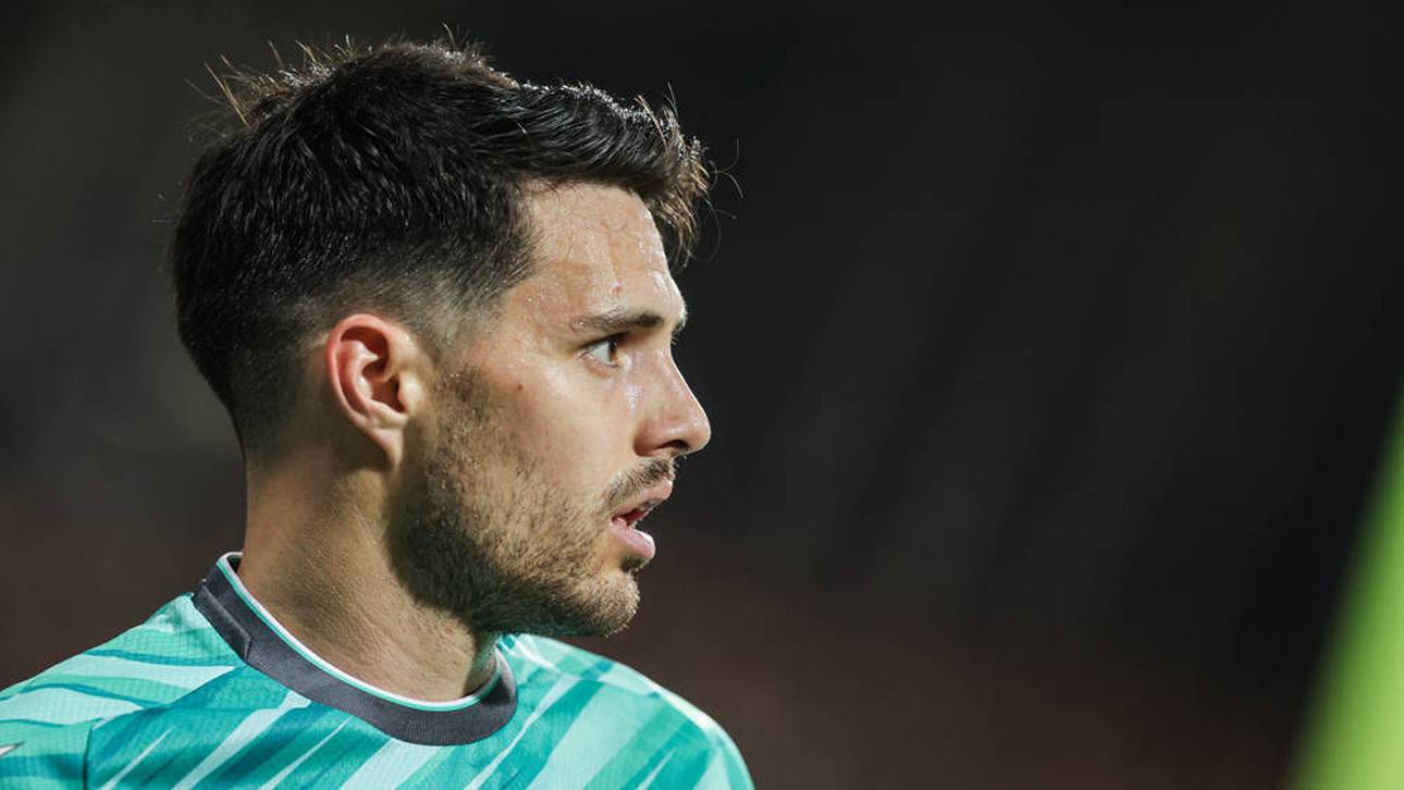 Josip Brekalo wechselt zu Hertha BSC