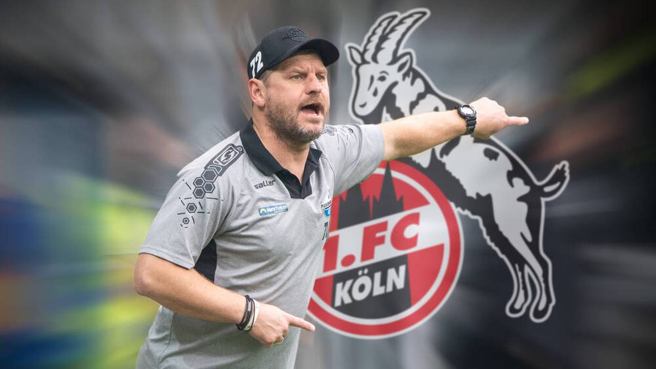 1. FC Köln: Steffen Baumgart übernimmt Trainer-Job von Friedhelm Funkel
