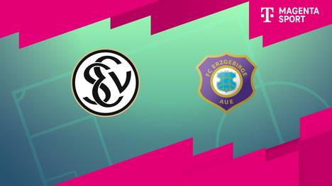 SV Elversberg - FC Erzgebirge Aue: Tore und Highlights | 3. Liga