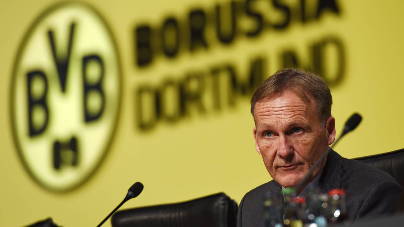 BVB bei Umsatz auf Rekordkurs