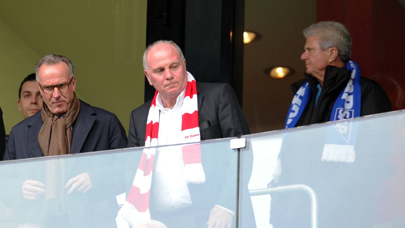 Bayern verurteilt Hopp-Anfeindungen