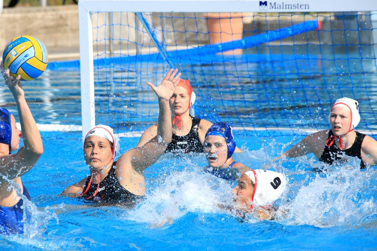 Wasserball: Berlinerinnen verteidigen Meisterschaft