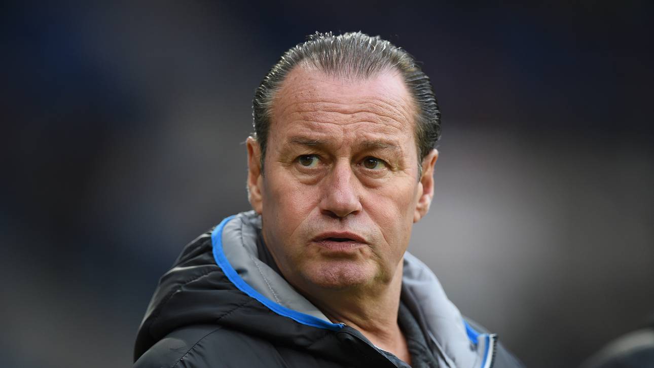 Hopp glaubt weiter an Stevens