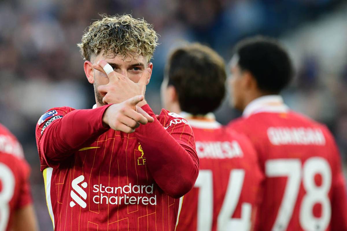 Liverpool-Star im Tausch für Wirtz nach Leverkusen?