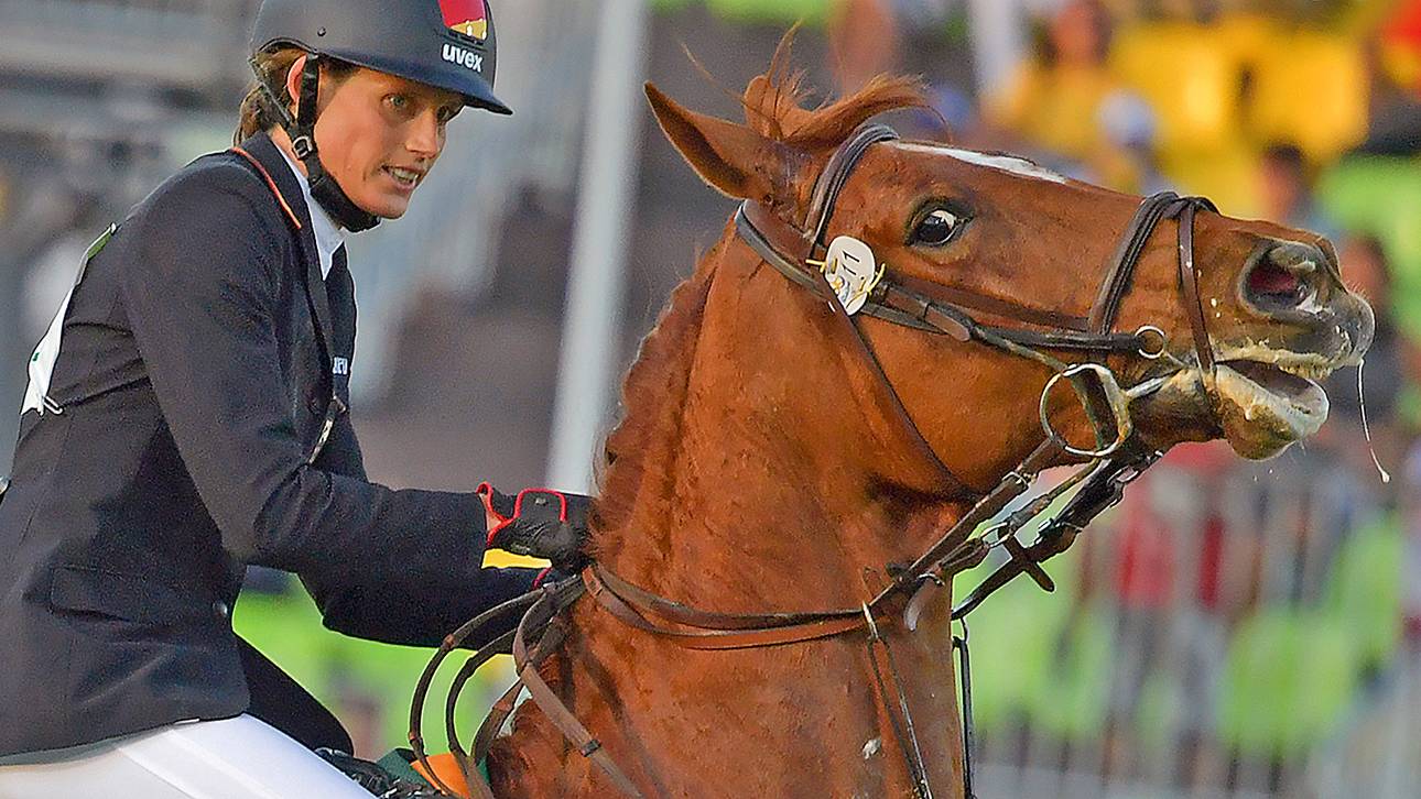 „Unehrliches Pferd“ lässt Schöneborn schäumen