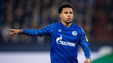 Gerüchten zufolge ist der FC Liverpool an Mittelfeld-Mann Weston McKennie vom FC Schalke 04 interessiert. Der 21-Jährige möchte wohl international spielen. Zuletzt hatte die Schalker Klubführung erklärt, dass Europa vorerst kein Thema mehr sei. 
