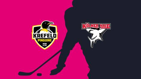 Krefeld Pinguine - Kölner Haie: Tore und Highlights | PENNY DEL