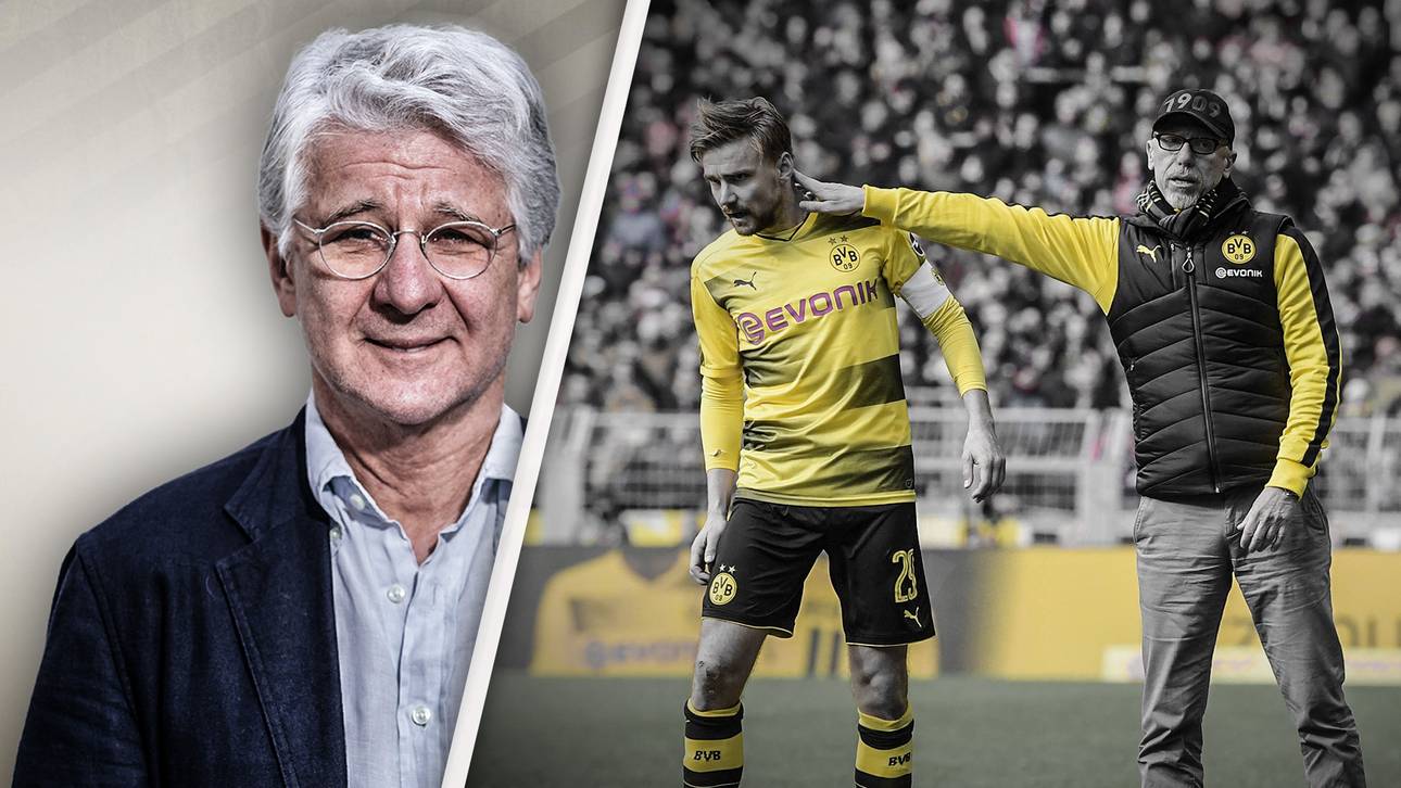 Darum ist Stöger jetzt konsequent