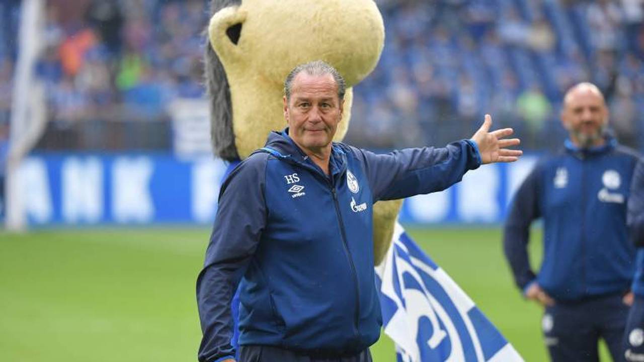 Schalke 04: Huub Stevens als Feuerwehrmann - So will er S04 retten