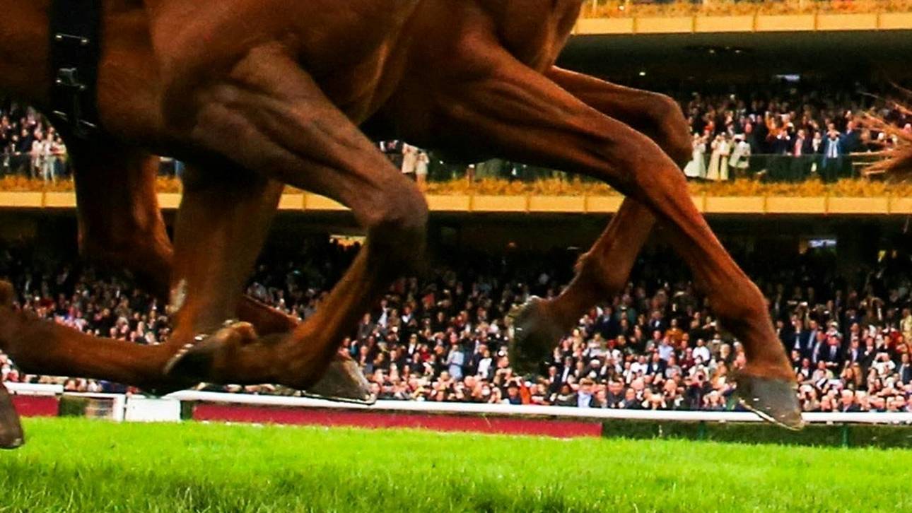 Brustwirbel-Bruch nach Reit-Sturz