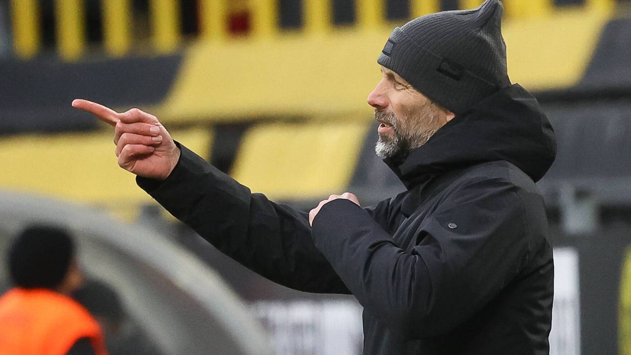 BVB-Fan bepöbelt Rose