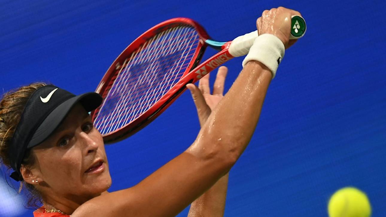 Wildcards für Maria und Niemeier