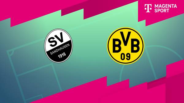 SV Sandhausen - Borussia Dortmund II (Highlights)