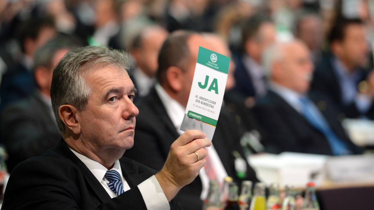 DFB-Vize stützt Niersbach