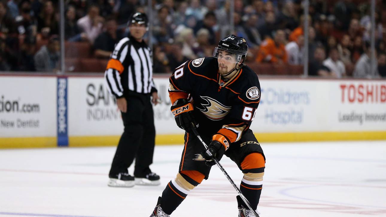 Haie holen kanadischen Verteidiger