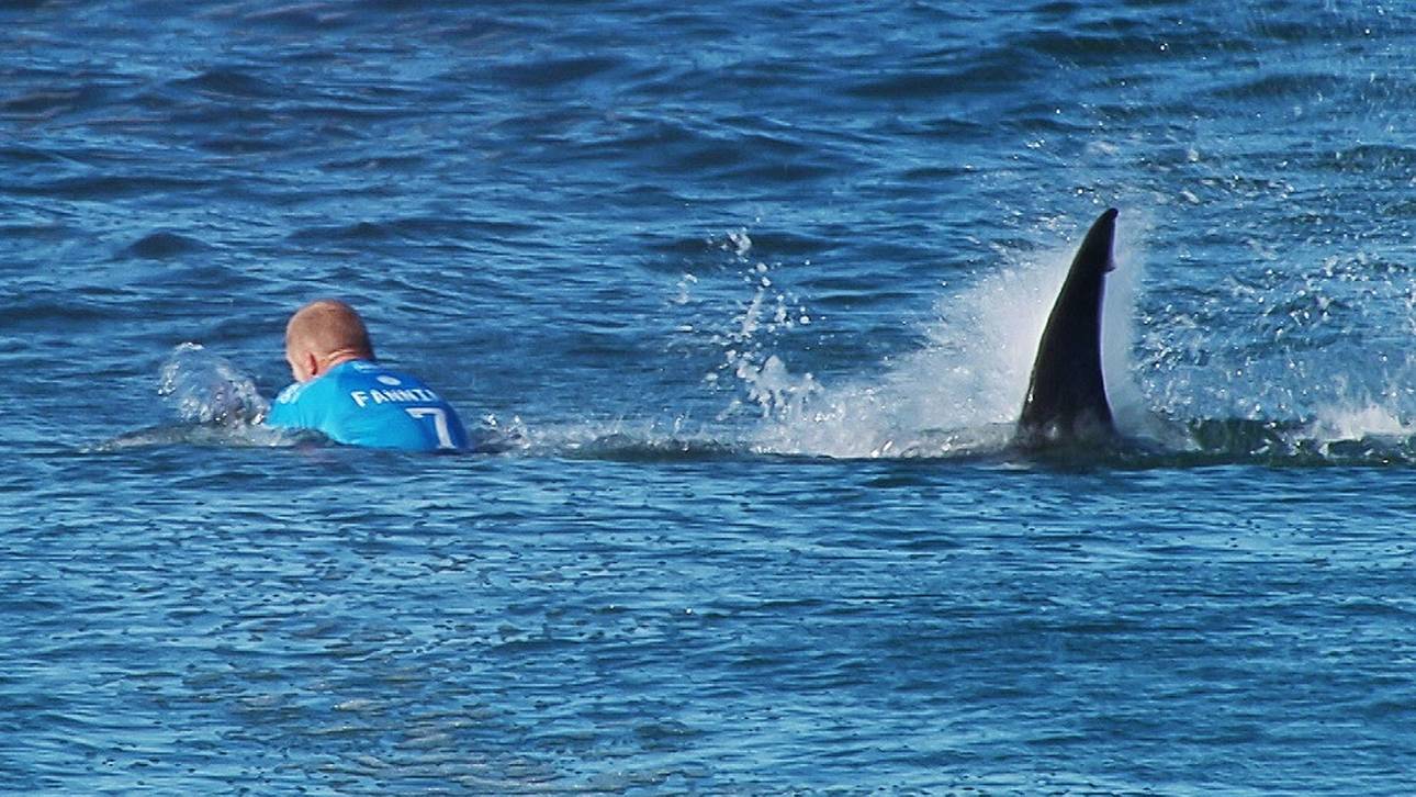 Surfer wehrt Hai-Attacke ab