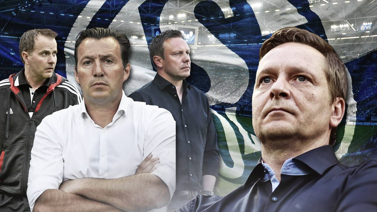 Schalke: Wilmots steht bereit