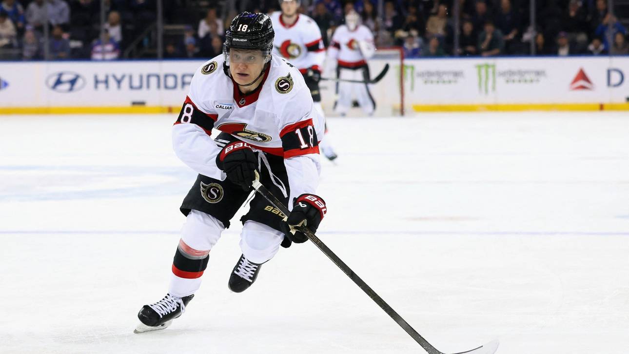 Dämpfer für Stützle und Seider