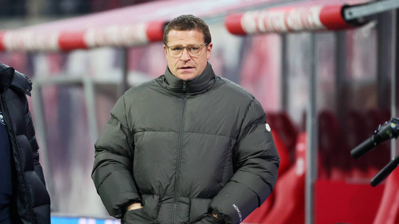 Eberl: „Manche bringen sich um“